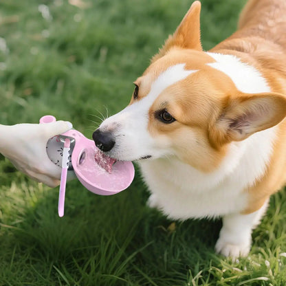 Portable Stainless Steel Dog Water Bottle with Silicone Bowl